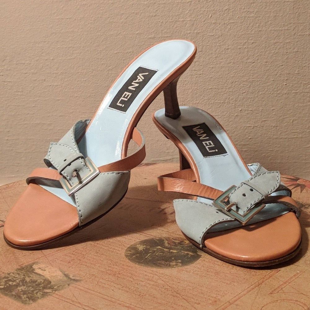 Van Eli light blue buckled heels brown detailing